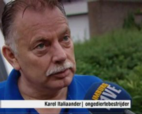 Karel